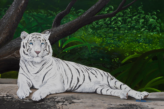 Timothy The Tiger