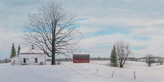 Old Abandoned Farm in Northern Minnesota