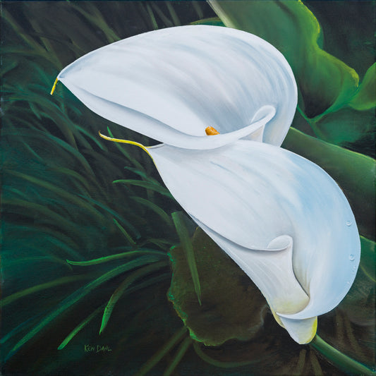 Calla Lilies - Garden Romance - Original Oil Painting